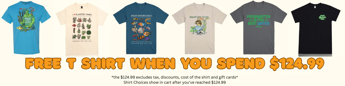 Style That Dives Deep